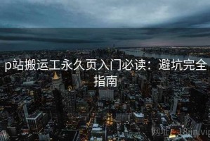 p站搬运工永久页入门必读：避坑完全指南
