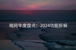 暗网年度盘点：2024功能拆解