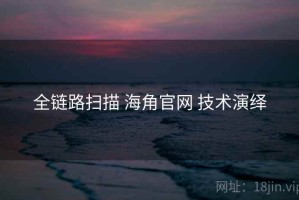 全链路扫描 海角官网 技术演绎