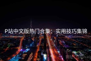 P站中文版热门合集：实用技巧集锦