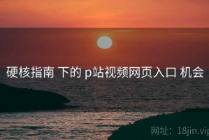 硬核指南 下的 p站视频网页入口 机会