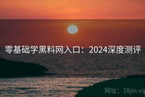 零基础学黑料网入口：2024深度测评