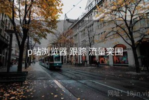 p站浏览器 跟踪 流量突围
