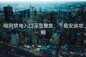 暗网禁地入口深度聚焦：下载安装攻略