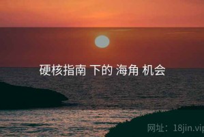 硬核指南 下的 海角 机会