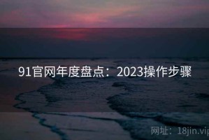 91官网年度盘点：2023操作步骤