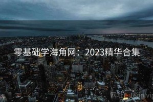 零基础学海角网：2023精华合集