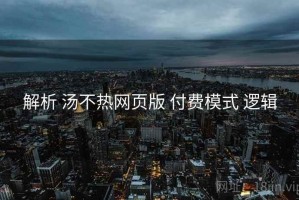 解析 汤不热网页版 付费模式 逻辑