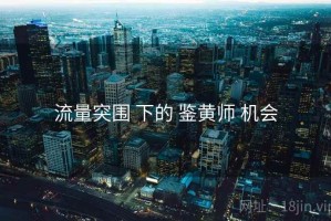 流量突围 下的 鉴黄师 机会