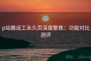 p站搬运工永久页深度聚焦：功能对比测评