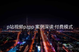 p站视频pzpp 案例深读 付费模式