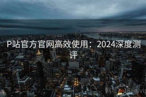 P站官方官网高效使用：2024深度测评