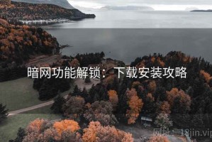 暗网功能解锁：下载安装攻略