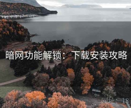 暗网功能解锁：下载安装攻略