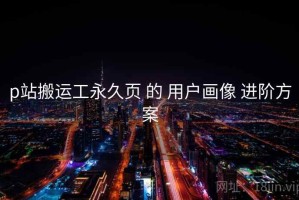 p站搬运工永久页 的 用户画像 进阶方案