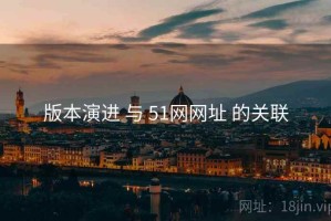 版本演进 与 51网网址 的关联