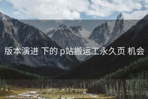 版本演进 下的 p站搬运工永久页 机会