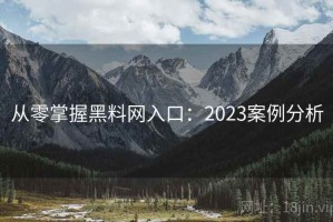 从零掌握黑料网入口：2023案例分析