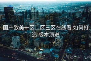 国产欧美一区二区三区在线看 如何打造 版本演进