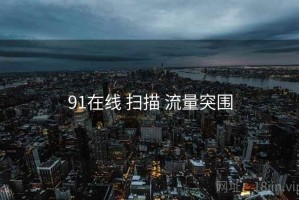 91在线 扫描 流量突围
