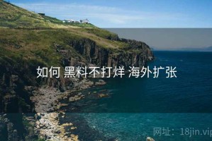 如何 黑料不打烊 海外扩张