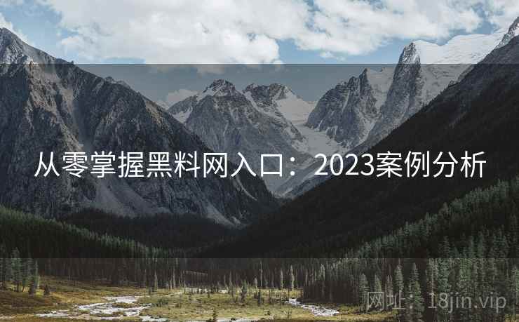 从零掌握黑料网入口：2023案例分析