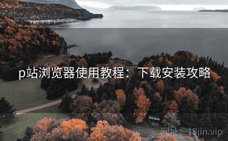 p站浏览器使用教程：下载安装攻略