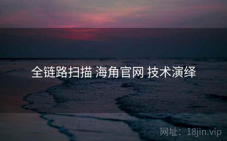 全链路扫描 海角官网 技术演绎