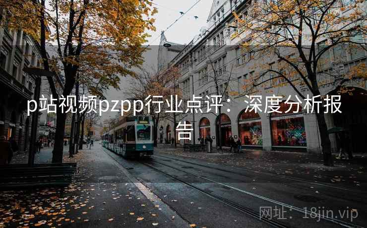 p站视频pzpp行业点评:深度分析报告 p站视频pzpp行业点评:深度分析报告