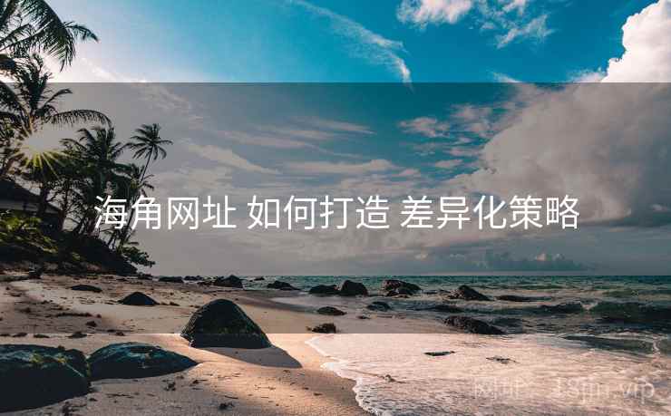 海角网址 如何打造 差异化策略