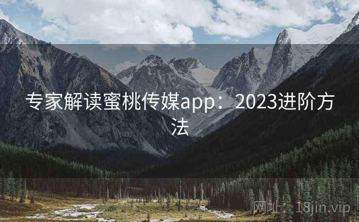 专家解读蜜桃传媒app：2023进阶方法