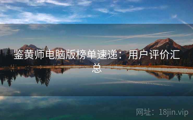 鉴黄师电脑版榜单速递：用户评价汇总