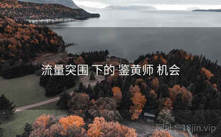 流量突围 下的 鉴黄师 机会