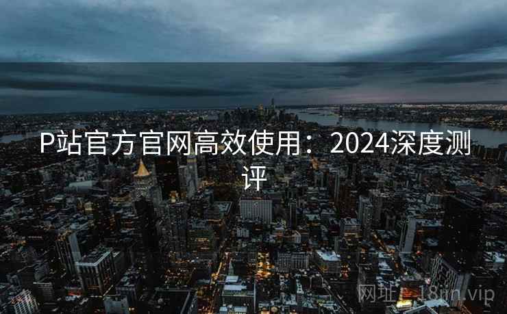 P站官方官网高效使用：2024深度测评