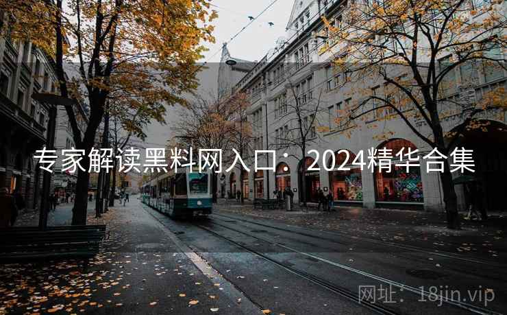 专家解读黑料网入口：2024精华合集