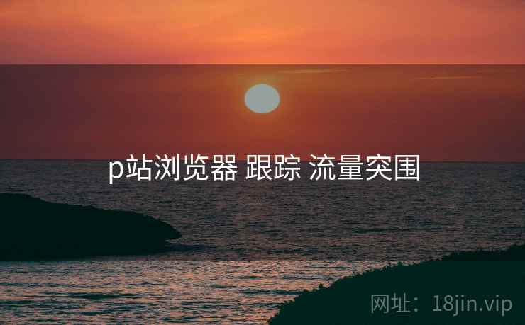 p站浏览器 跟踪 流量突围