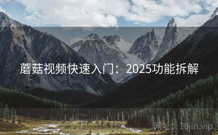蘑菇视频快速入门：2025功能拆解