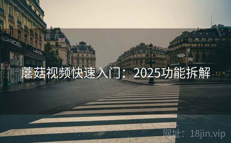 蘑菇视频快速入门：2025功能拆解